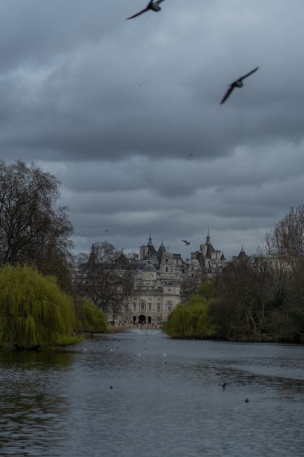 A view of a historic castle with ornate turrets and towers situated on the far bank of a river, with overhanging trees in the foreground that have a mix of bare branches and some green foliage. The river reflects the cloudy, overcast sky above, which is filled with dark, heavy clouds. Several birds are flying in the sky, some closer to the camera and others higher, creating a sense of movement. The scene captures a calm yet slightly gloomy atmosphere typical of a cloudy day, with the castle partially obscured by the trees and positioned centrally in the distance. This image highlights the natural landscape surrounding a classic European castle, suitable for themes related to house removals, relocation logistics, or moving preparation, as referenced on the Man with Van St Jamess website.