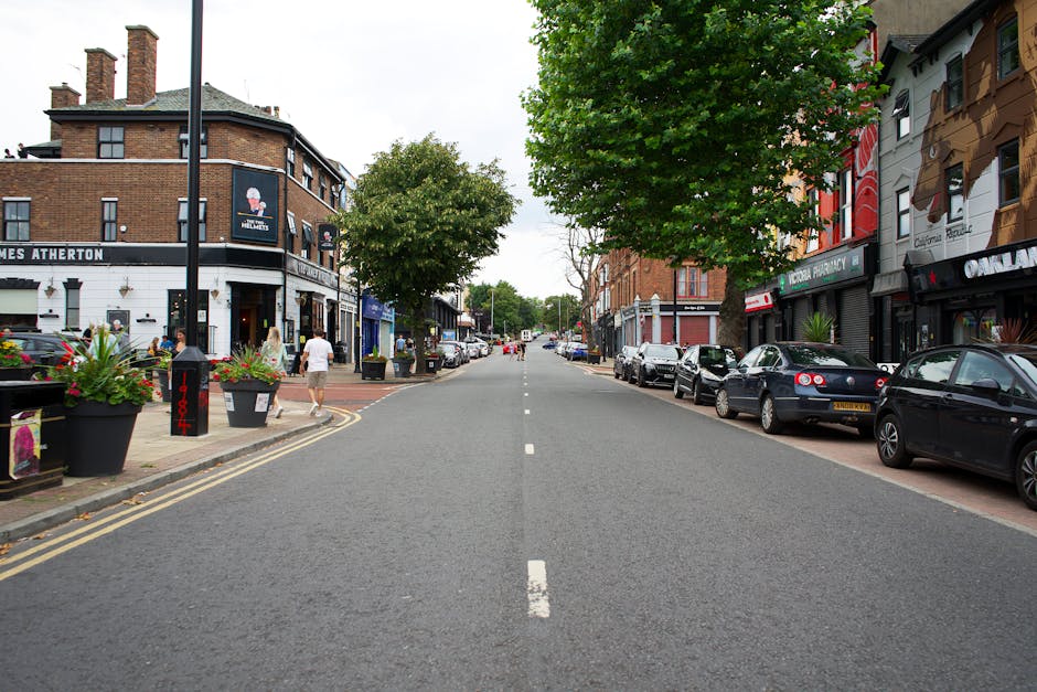 A view of a city street lined with parked cars on both sides, with a row of shopfronts and buildings featuring signage and large murals on the right side. In the foreground, there is a tree with lush